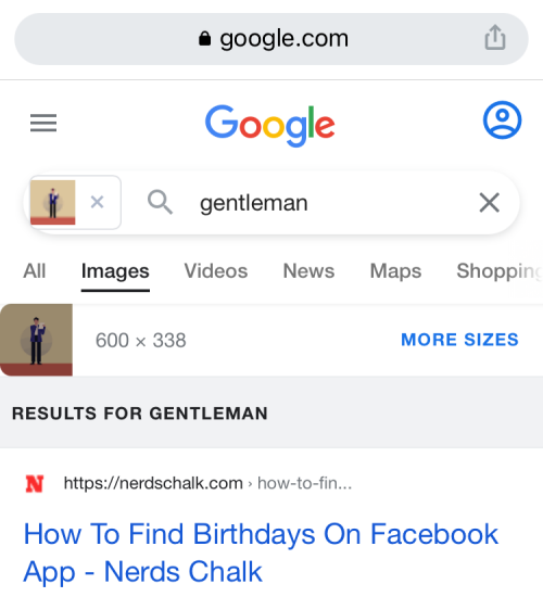 reverse-image-search-on-iphone-111-a reverse-image-search-on-iphone-111-a