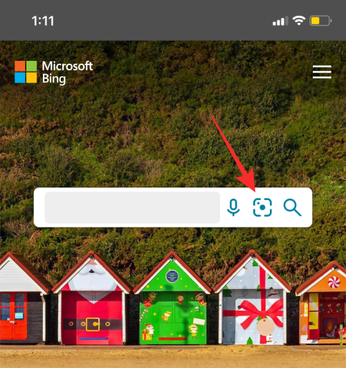 reverse-image-search-on-iphone-113-a reverse-image-search-on-iphone-113-a