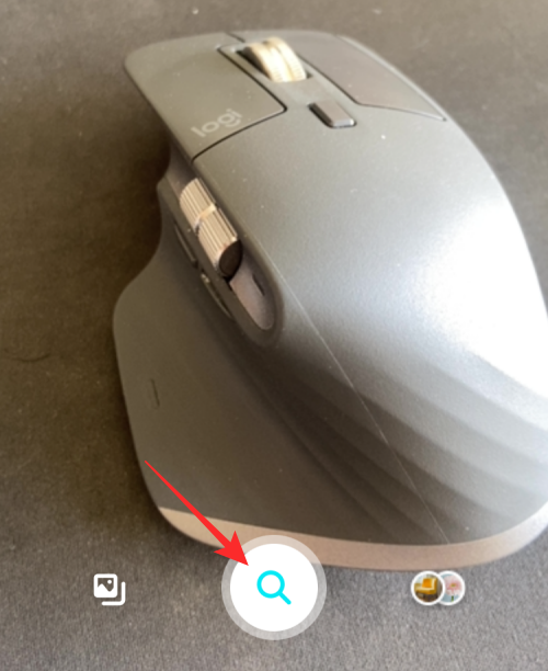 reverse-image-search-on-iphone-116-a reverse-image-search-on-iphone-116-a