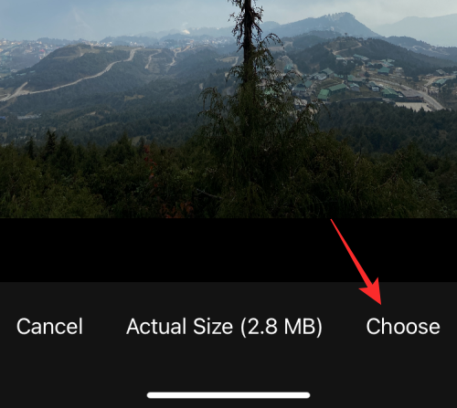 reverse-image-search-on-iphone-124-a reverse-image-search-on-iphone-124-a
