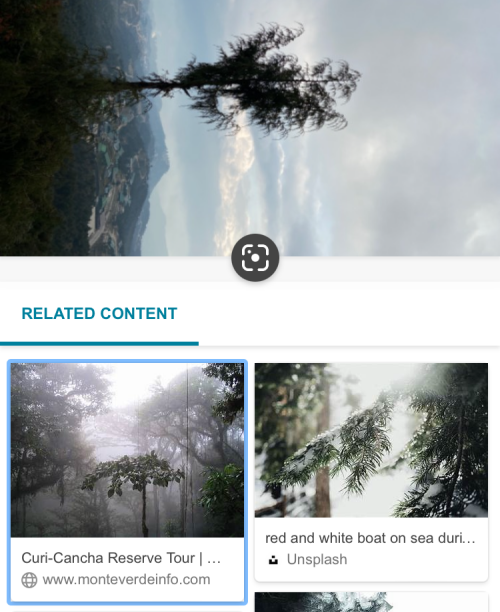 reverse-image-search-on-iphone-125-a reverse-image-search-on-iphone-125-a