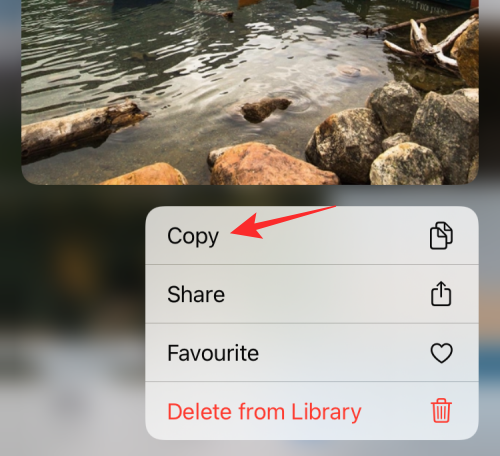 reverse-image-search-on-iphone-14-a reverse-image-search-on-iphone-14-a