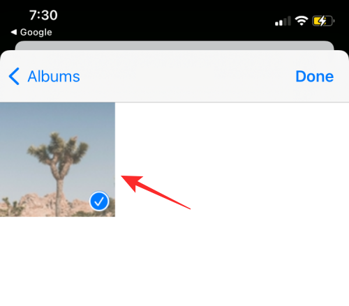 reverse-image-search-on-iphone-141-a reverse-image-search-on-iphone-141-a