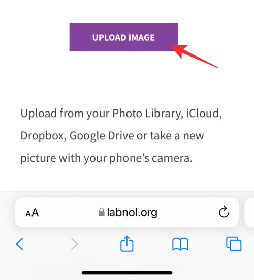 reverse-image-search-on-iphone-19-a reverse-image-search-on-iphone-19-a
