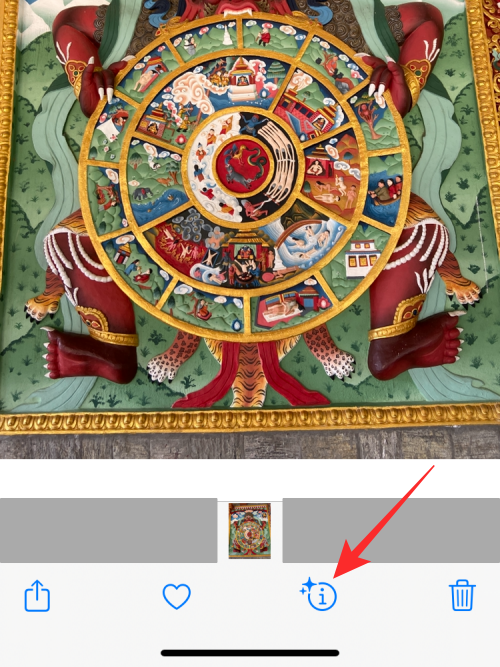 reverse-image-search-on-iphone-2-a reverse-image-search-on-iphone-2-a