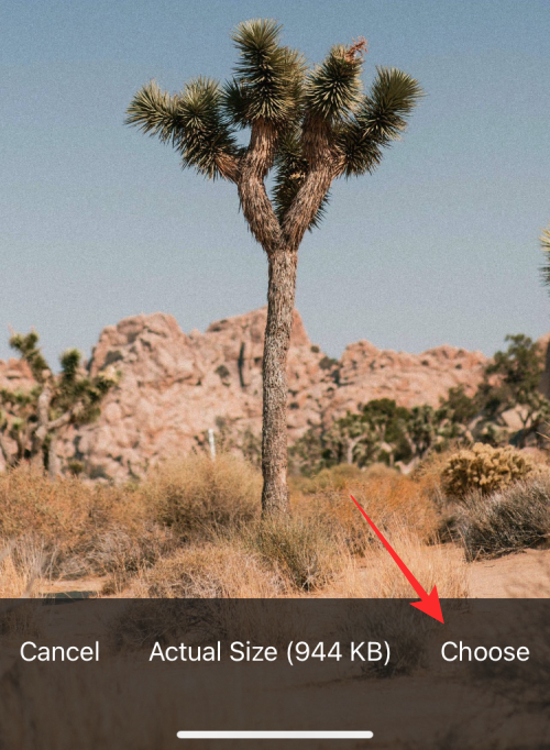 reverse-image-search-on-iphone-22-a reverse-image-search-on-iphone-22-a