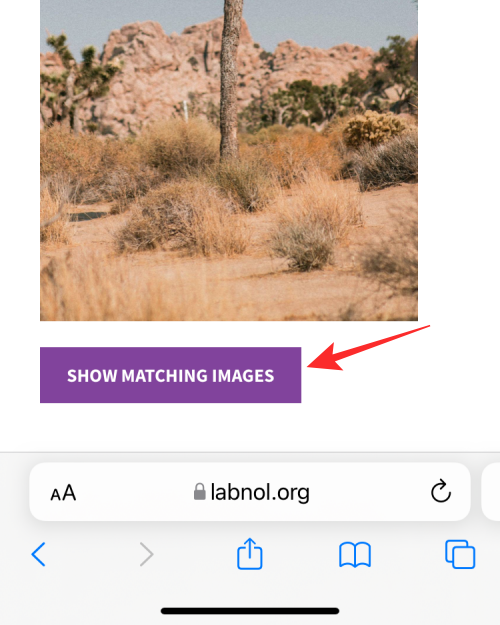 reverse-image-search-on-iphone-23-a reverse-image-search-on-iphone-23-a