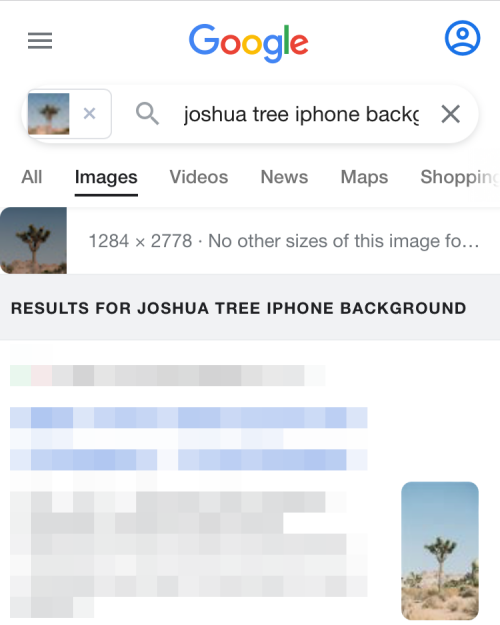 reverse-image-search-on-iphone-24-a reverse-image-search-on-iphone-24-a