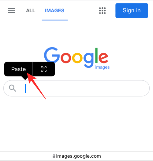 reverse-image-search-on-iphone-29-a reverse-image-search-on-iphone-29-a