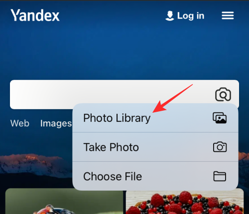 reverse-image-search-on-iphone-81-a reverse-image-search-on-iphone-81-a