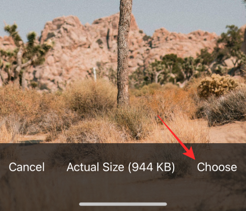 reverse-image-search-on-iphone-83-a reverse-image-search-on-iphone-83-a