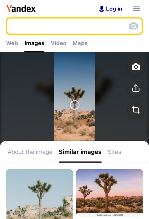reverse-image-search-on-iphone-85-a