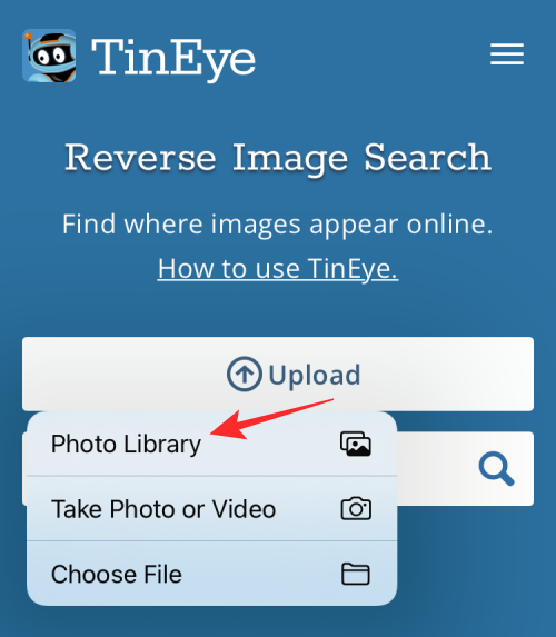 reverse-image-search-on-iphone-88-a reverse-image-search-on-iphone-88-a