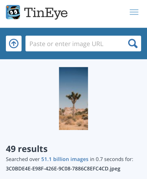 reverse-image-search-on-iphone-92-a reverse-image-search-on-iphone-92-a