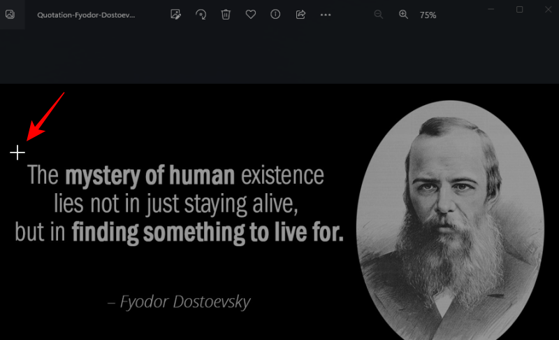 text-extractor-powertoys-5 text-extractor-powertoys-5