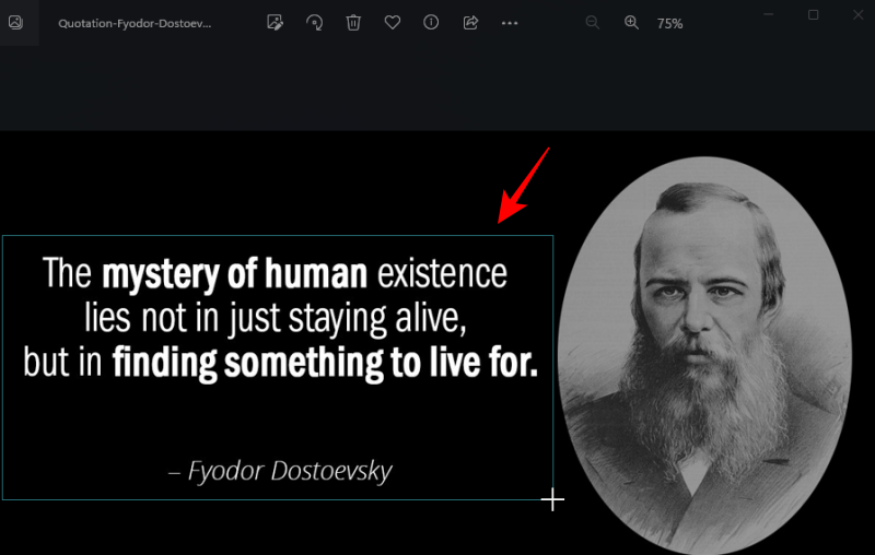 text-extractor-powertoys-6 text-extractor-powertoys-6