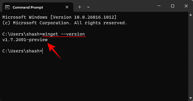 use-winget-win-11-1 use-winget-win-11-1