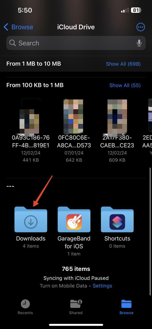 force-touch-or-tap-hold-the-Download-folder